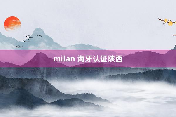 milan 海牙认证陕西