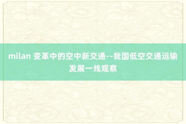 milan 变革中的空中新交通--我国低空交通运输发展一线观察