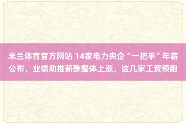米兰体育官方网站 14家电力央企“一把手”年薪公布，业绩助推薪酬整体上涨，这几家工资领跑