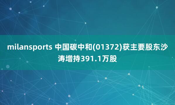 milansports 中国碳中和(01372)获主要股东沙涛增持391.1万股