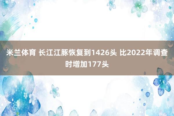 米兰体育 长江江豚恢复到1426头 比2022年调查时增加177头
