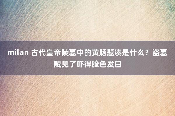 milan 古代皇帝陵墓中的黄肠题凑是什么？盗墓贼见了吓得脸色发白